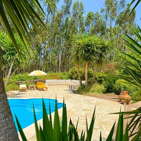 Wellbeing Guesthouse Casa E Connosco Alvaiázere Dış mekan fotoğraf