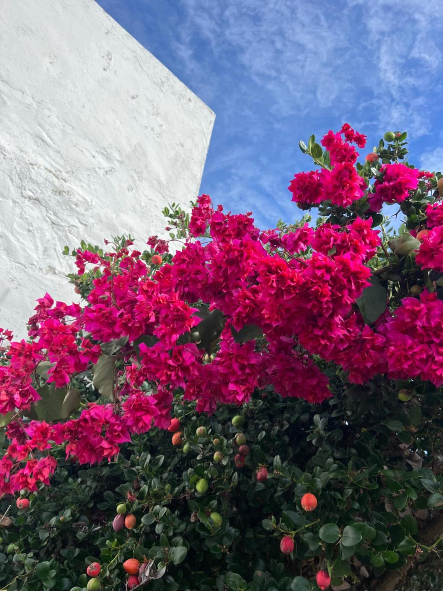 Wellbeing Guesthouse Casa E Connosco Alvaiázere Dış mekan fotoğraf