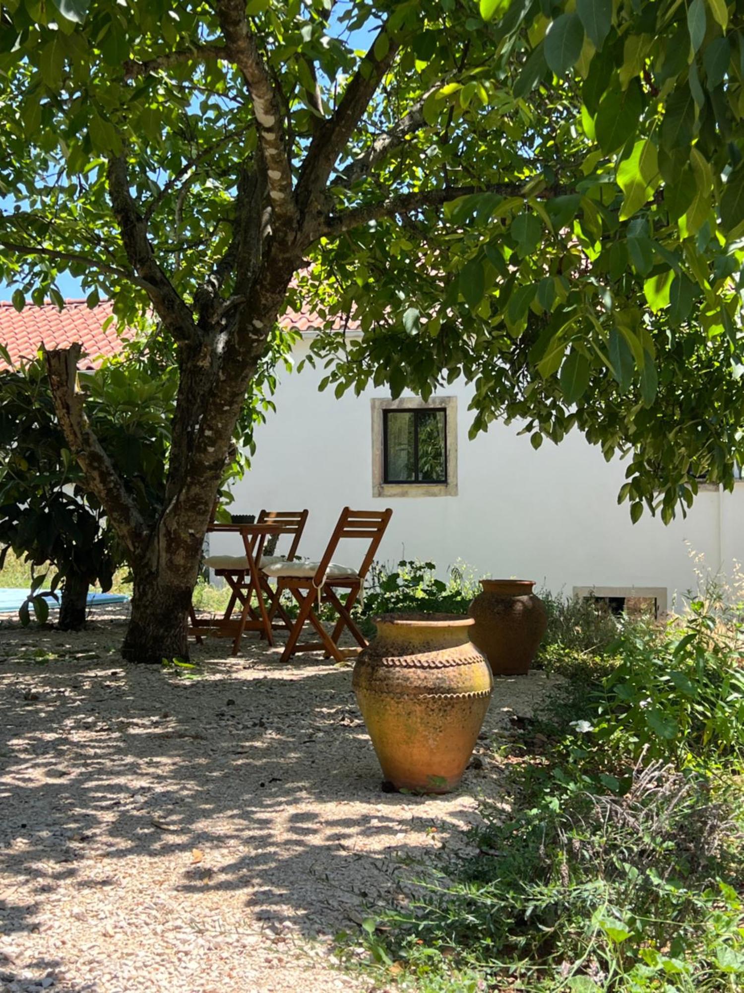 Wellbeing Guesthouse Casa E Connosco Alvaiázere Dış mekan fotoğraf