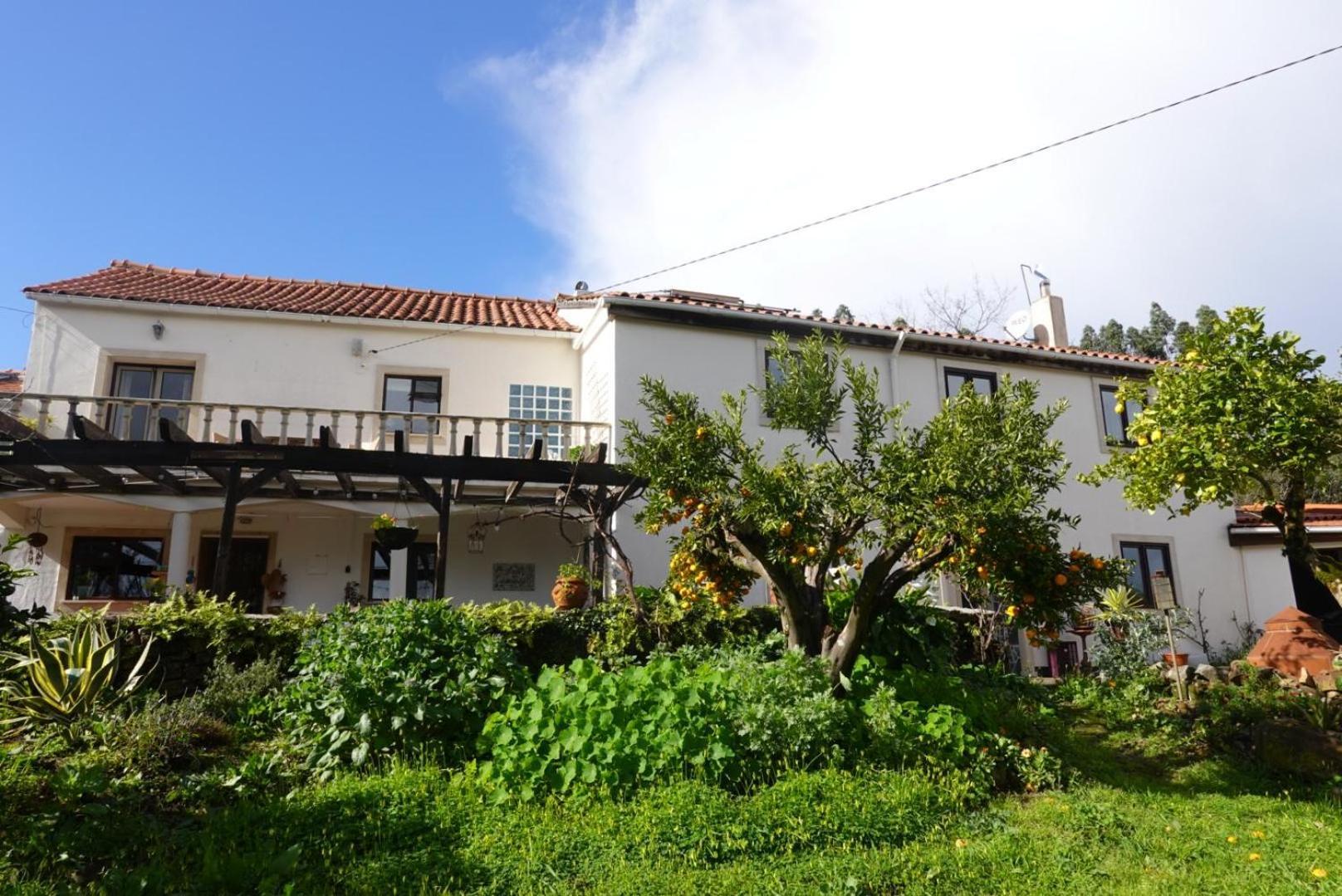Wellbeing Guesthouse Casa E Connosco Alvaiázere Dış mekan fotoğraf