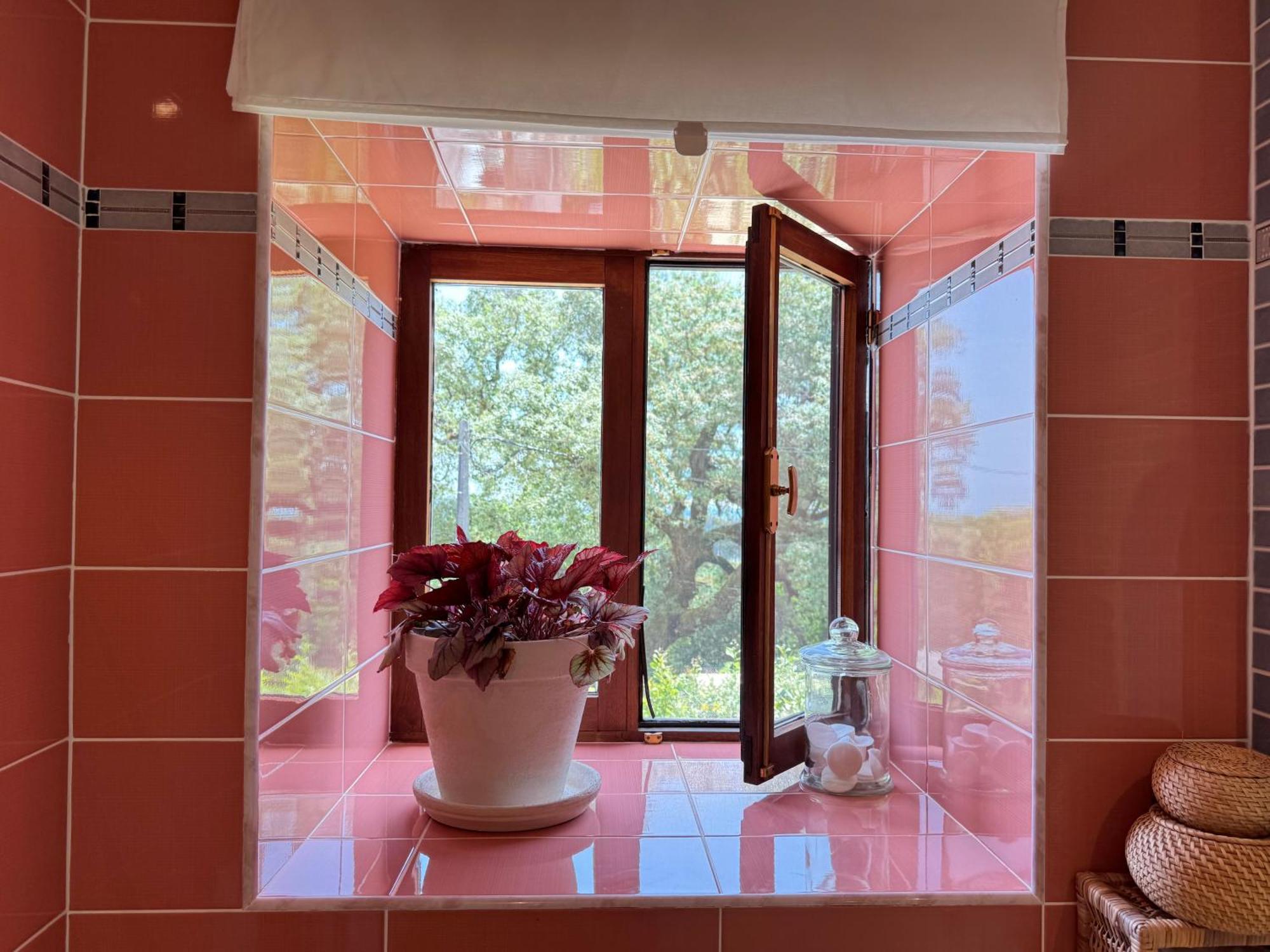 Wellbeing Guesthouse Casa E Connosco Alvaiázere Dış mekan fotoğraf