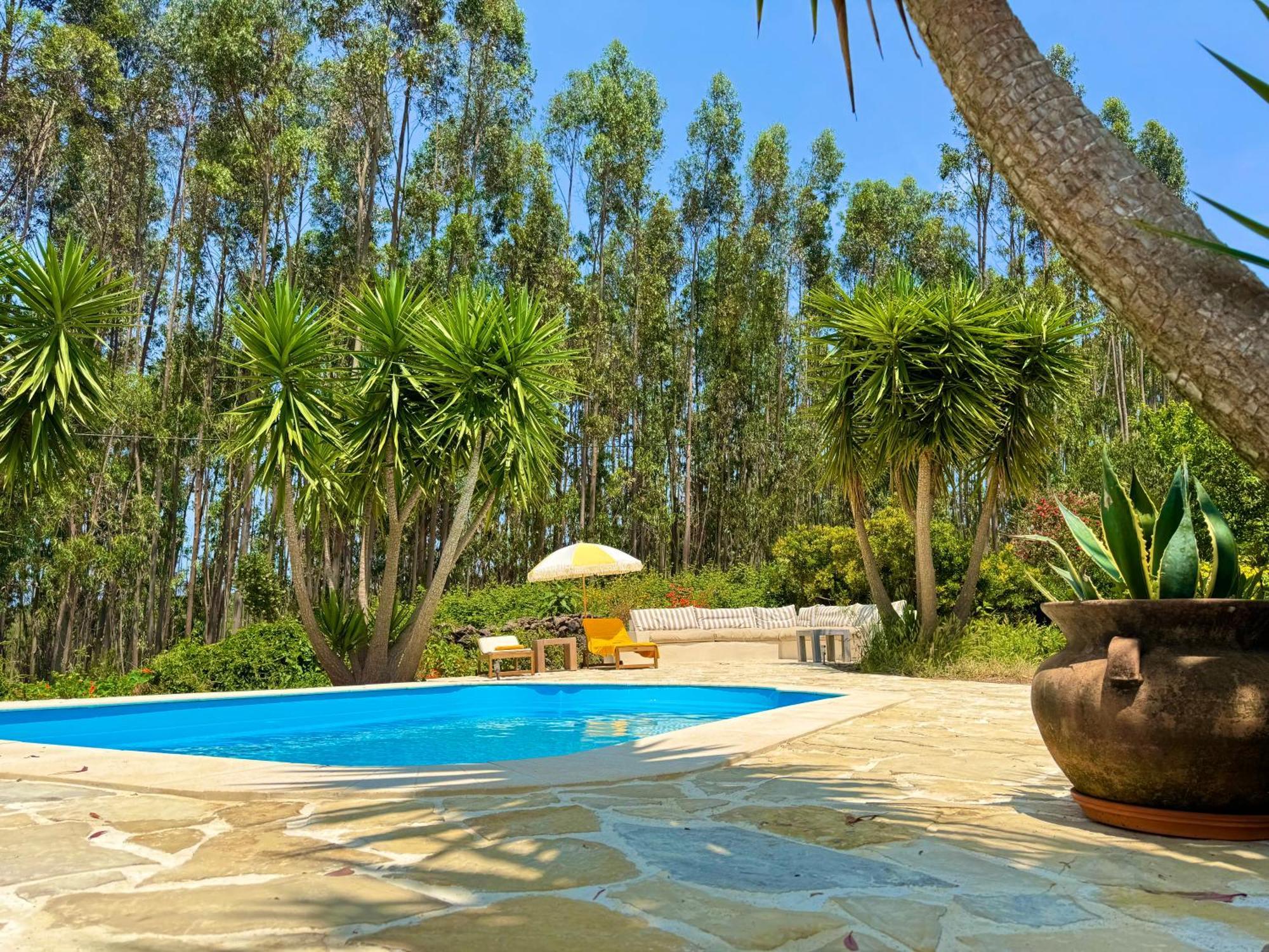 Wellbeing Guesthouse Casa E Connosco Alvaiázere Dış mekan fotoğraf