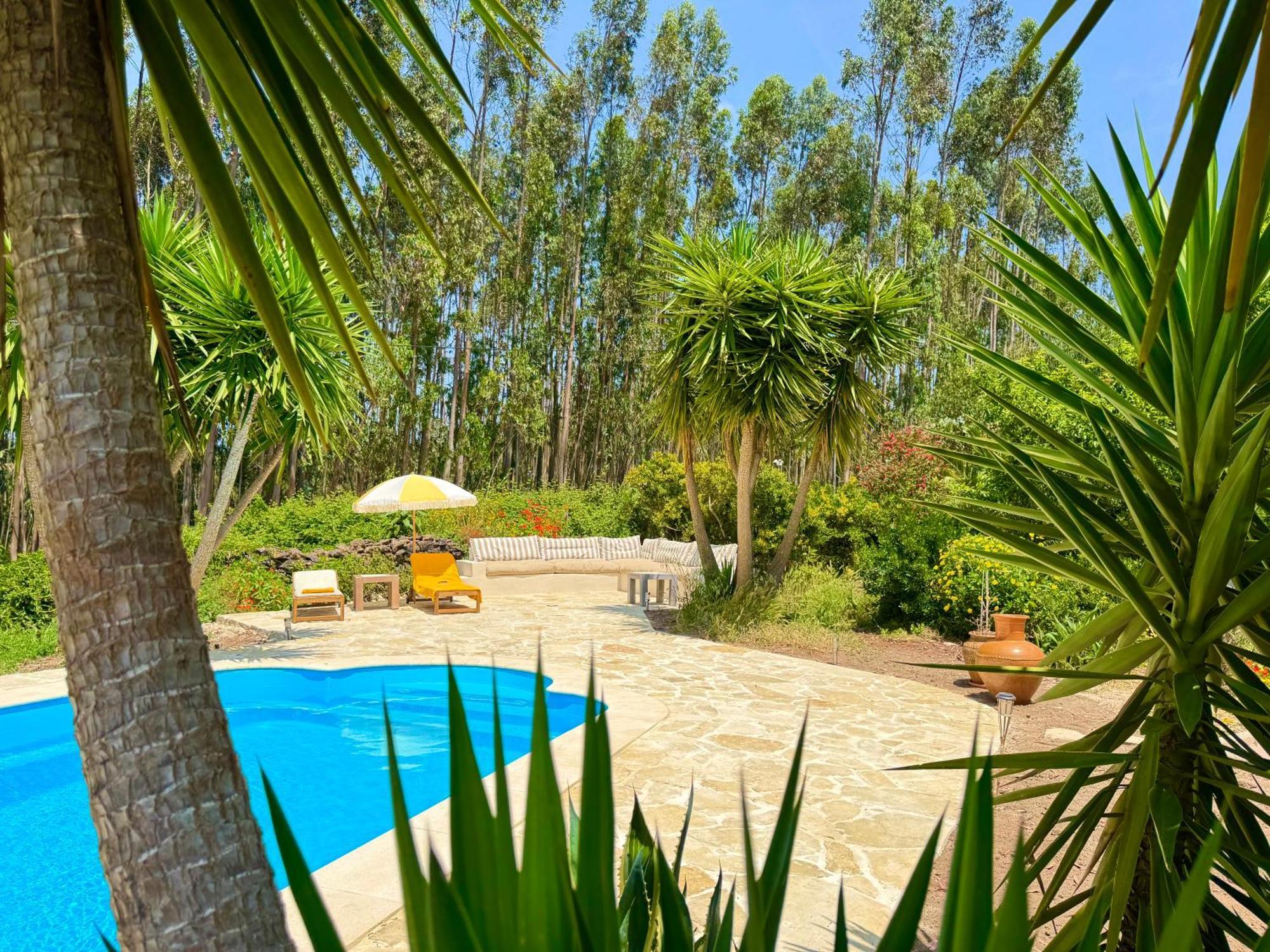 Wellbeing Guesthouse Casa E Connosco Alvaiázere Dış mekan fotoğraf